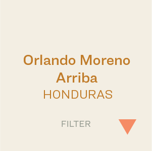 Bows - Honduras Orlando Moreno - Arriba 300g (10.5oz)