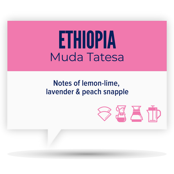 Quietly Coffee - Ethiopia Muda Tatesa 340g (12oz)