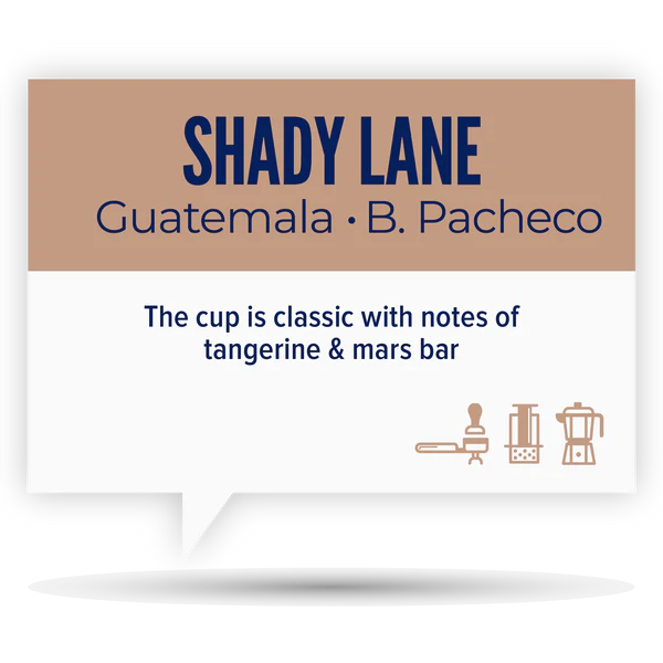 Quietly Coffee - Shady Lane, Guatemala B Pacheco 340g (12oz)