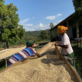 Quietly Coffee - In The Sun · Ethiopia Chire Station 300g