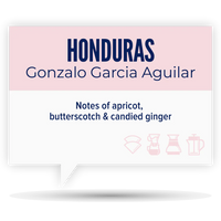 Quietly Coffee - Honduras, Gonzalo Garcia Aguilar 340g (12oz)