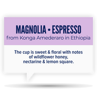 Quietly Coffee • Magnolia • Konga Amederaro (300g)