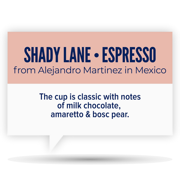 Quietly Coffee • Shady Lane · Alejandro Martinez (300g)