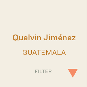 Bows - Guatemala Quelvin Jiménez 300g (10.5oz)